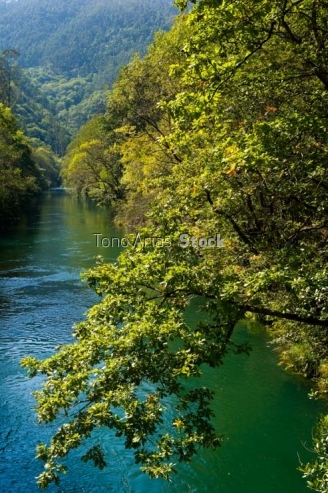 Fragas do Eume, Galicia