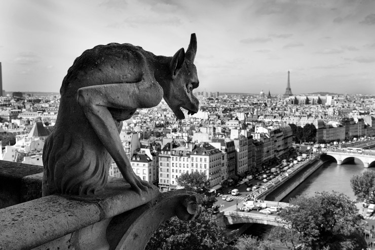 France, Paris, Ile de la Cite, gargoyle on roof of Notre Dame