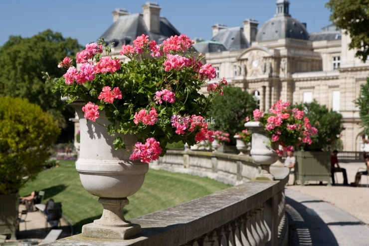 France, Paris, people relaxing in garden of Luxembourg Palace