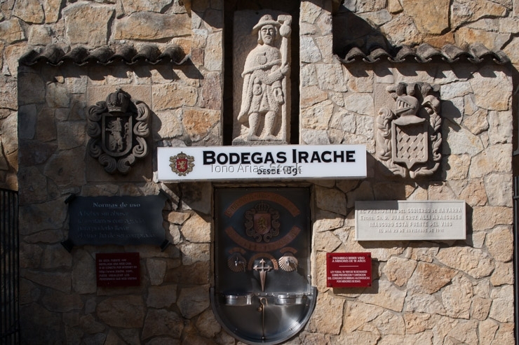 fuente del vino Estella Navarra