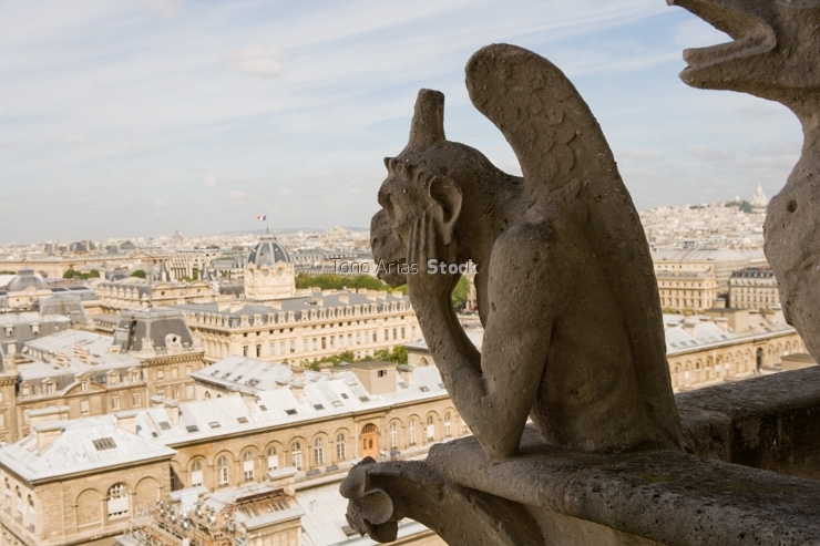 Gargolas de Notre Dame, París
