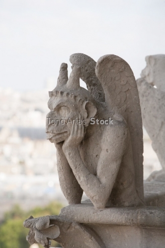 Gargolas de Notre Dame, París