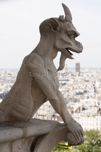 Gargolas de Notre Dame, París