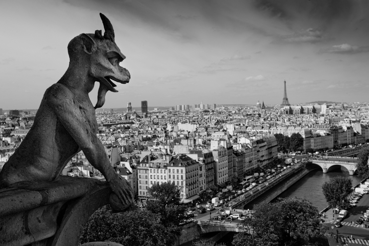 Gargolas de Notre Dame, París