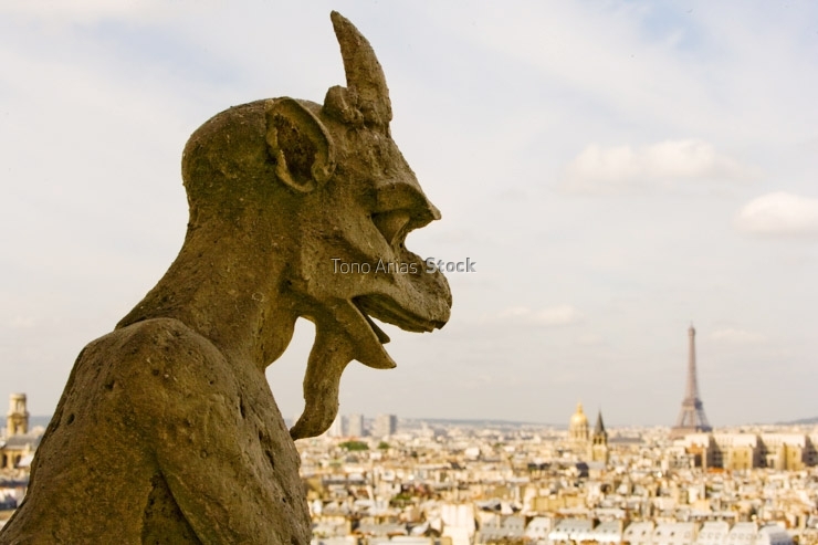 Gargolas de Notre Dame, París