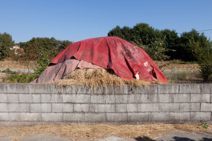 Herba cuberta, Galicia