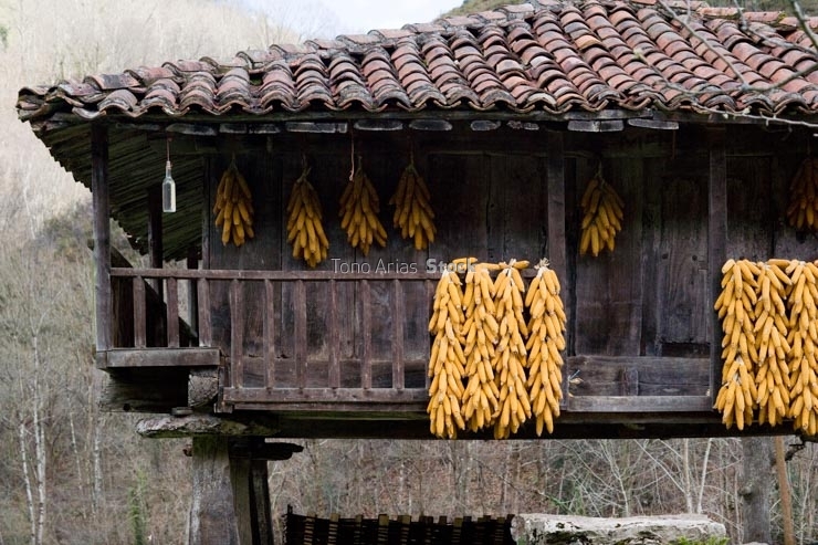 Hórreo Asturias