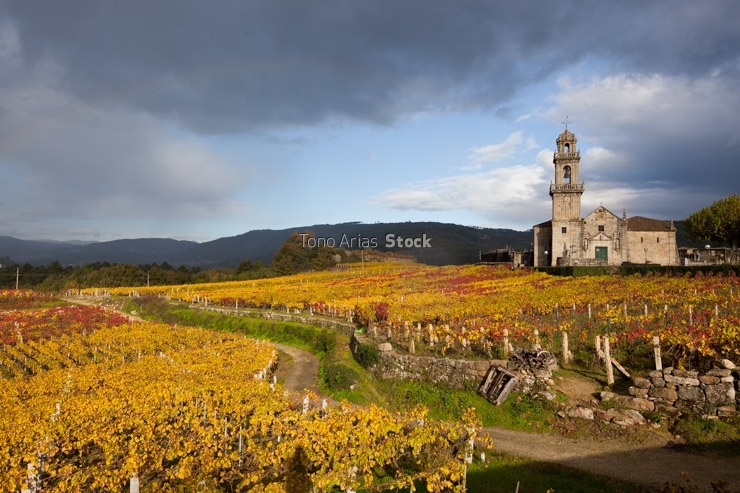 Igrexa de Beade, O Ribeiro, provincia de Ourense , Galicia