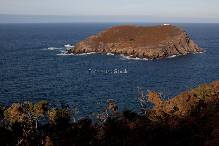 Illa Cuelleira, Galicia