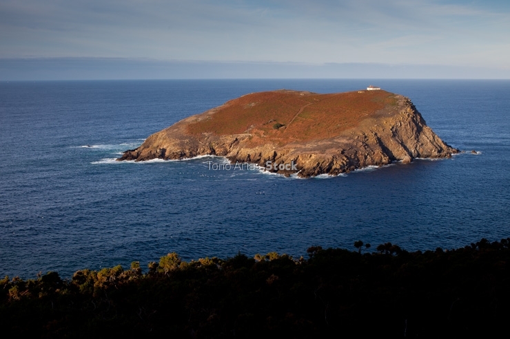Illa Cuelleira, O Vicedo, provincia de Lugo, Galicia