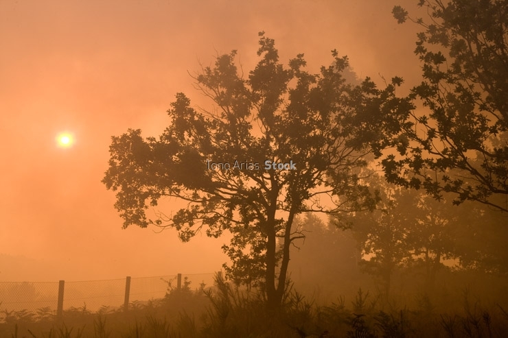 Incendios en Galicia