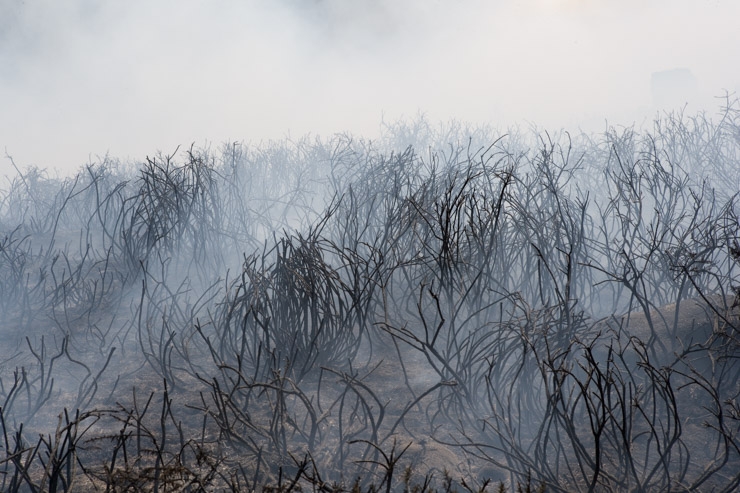 Incendios en Galicia