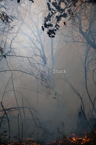 Incendios en Galicia