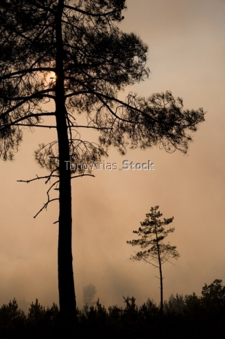 Incendios en Galicia