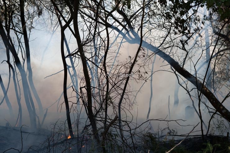 Incendios en Galicia
