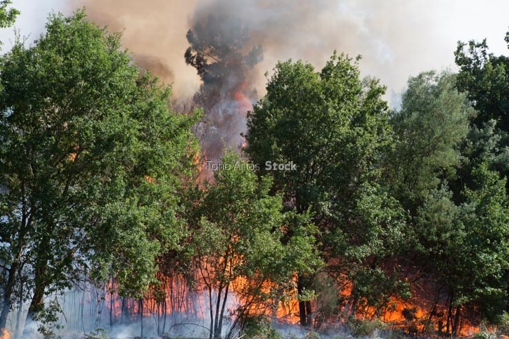 Incendios en Galicia