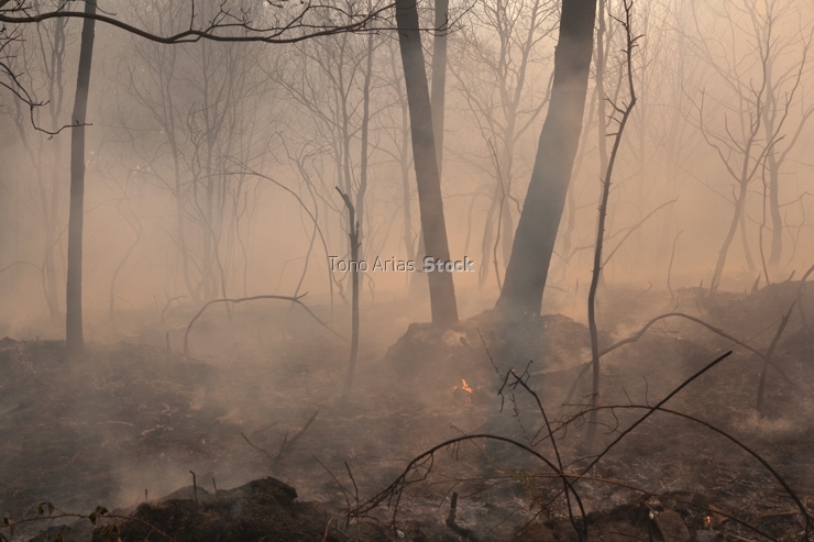 Incendios en Galicia