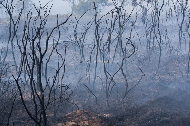 Incendios en Galicia