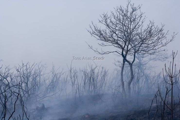 Incendios en Galicia