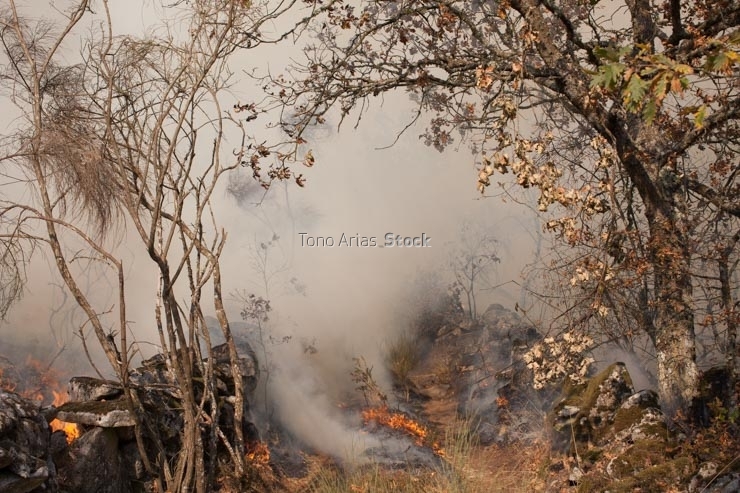Incendios en Galicia