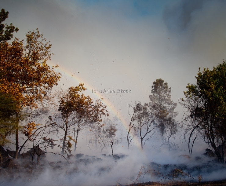 Incendios en Galicia