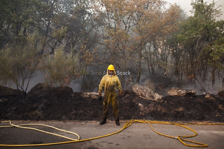 Incendios en Galicia