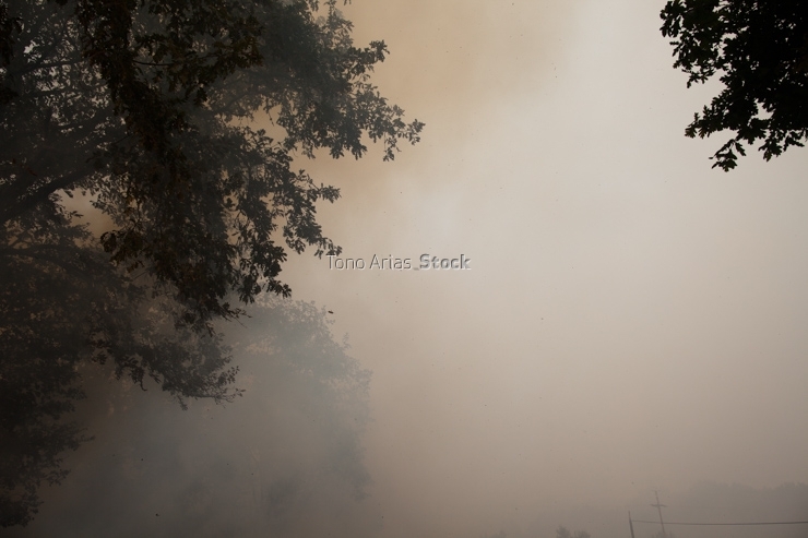 Incendios en Galicia