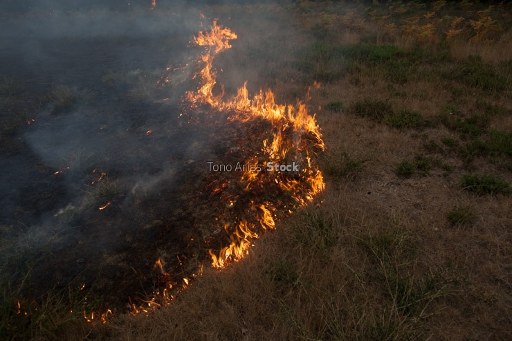 Incendios en Galicia