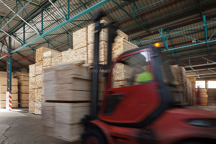 Industria de la madera, Galicia