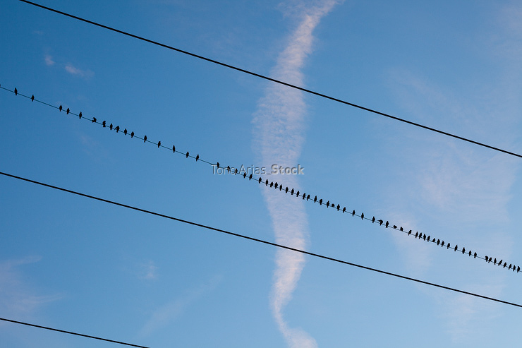 Instalacións eléctricas, Galicia