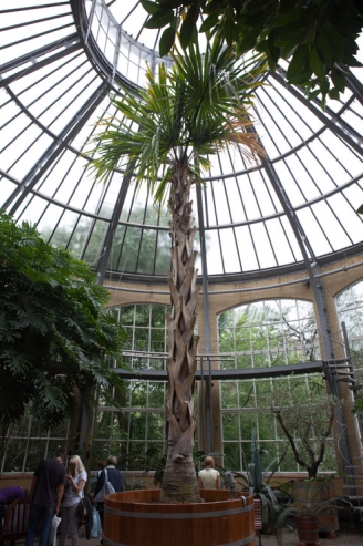 Jardín botanico,Amsterdam,Holanda