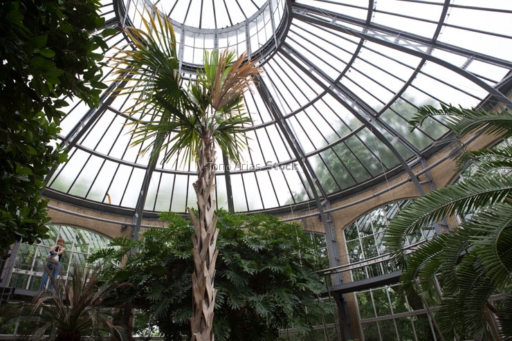 Jardín botanico,Amsterdam,Holanda