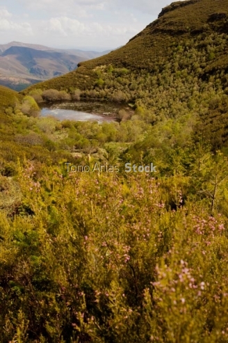 Lagoa de Lucenza,O Caurel, provincia de Lugo, Galicia