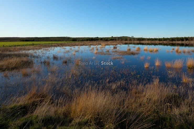 Lagoa Sacra de Olives, A Estrada, provincia de Pontevedra, Galic