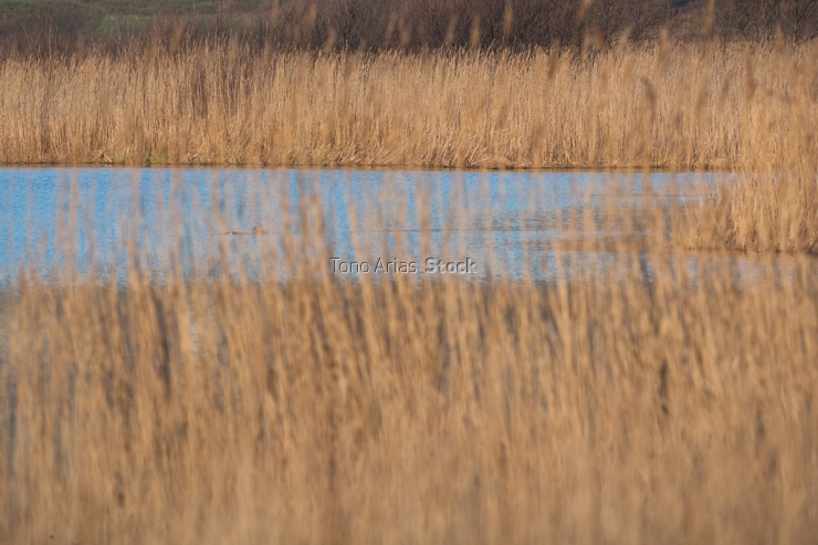 Laguna de Traba,Laxe, Bergantiños galicia