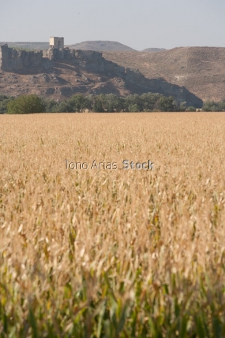 Las Vegas, Aranjuez, Madrid