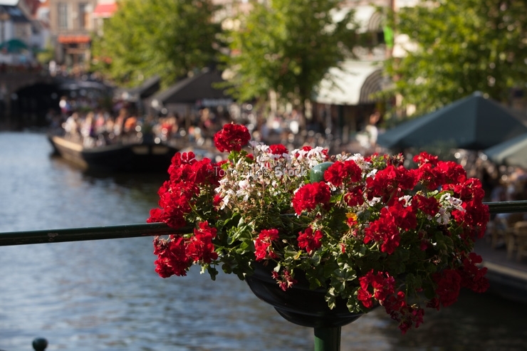 Leiden, Holanda