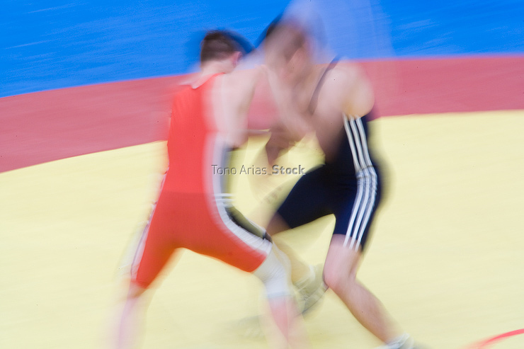Lucha