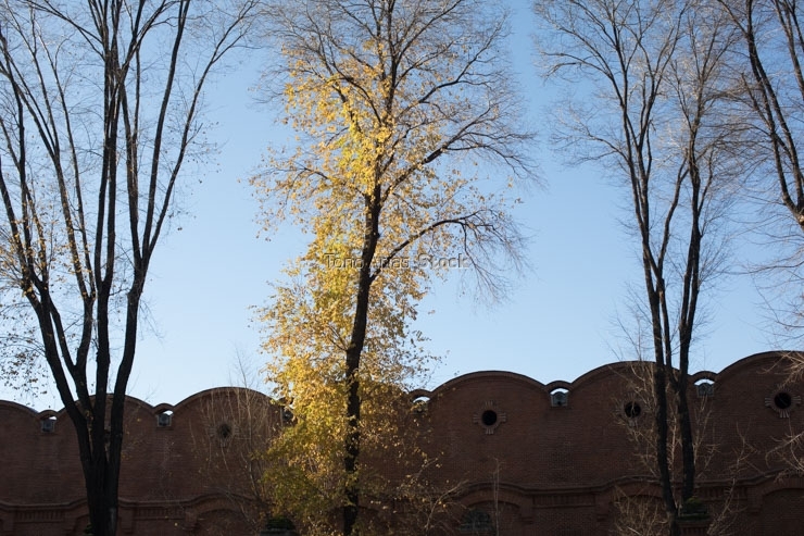 Matadero de Madrid, centro cultural