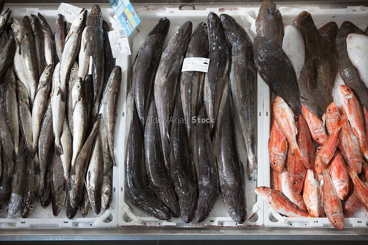 Mercado de Pontevedra, Galicia