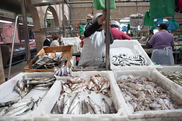 Mercado de Pontevedra, Galicia