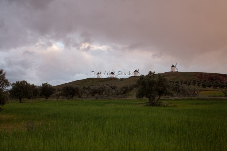 Molinos de Alcazar de San Juan, Castilla la Mancha