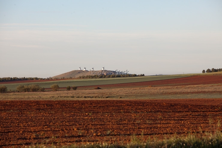 Molinos de Alcazar de San Juan, Castilla la Mancha