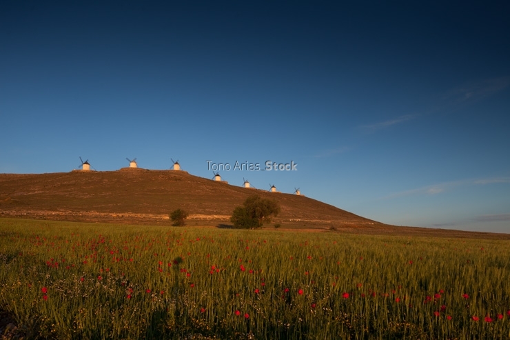 MOlinos de Consuegra, Toledo,La Mancha