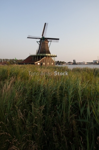 Molinos de viento tradicionales en Zaanse schans,Holanda, paises