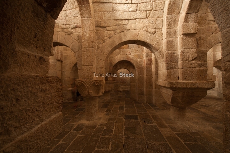 Monasterio de San Salvador de Leyre Navarra