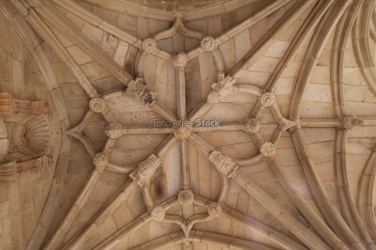 Mosteiro de San Rosendo, Celanova