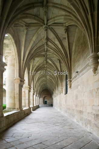 Mosteiro de San Rosendo, Celanova