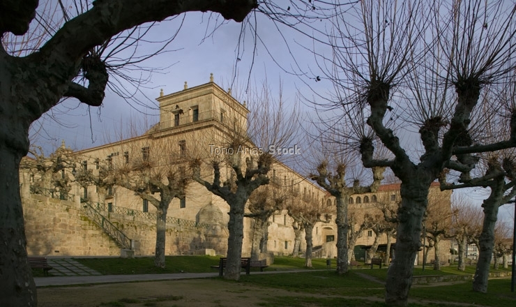 Mosteiro de San Rosendo, Celanova