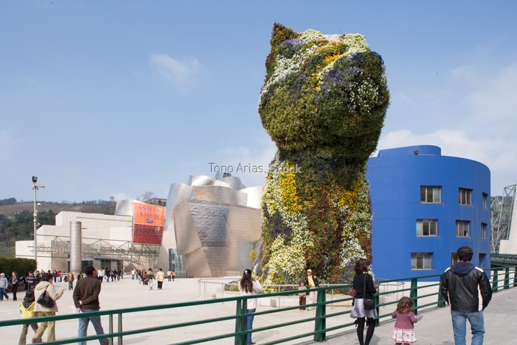 Museo Guggenheim, Bilbao